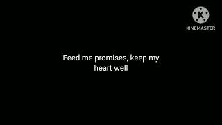 Canary in a Coal Mine The Crane Wives karaoke