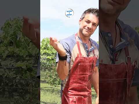 Conociendo y cocinando en LA PAZ, ENTRE RÍOS #DestinosYSabores