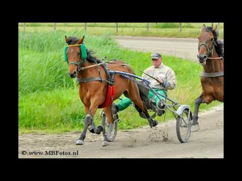 Endless Moko 18-6-16