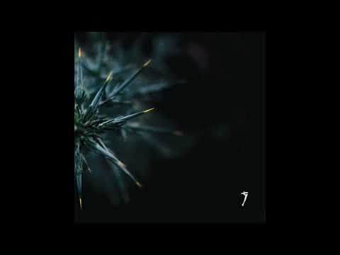 Refracted - Serenity