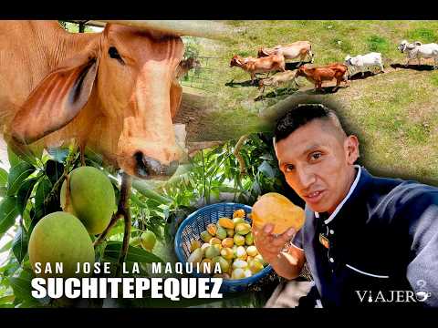 Llegamos a San Jose la Maquina Suchitepequez-uffff que calor