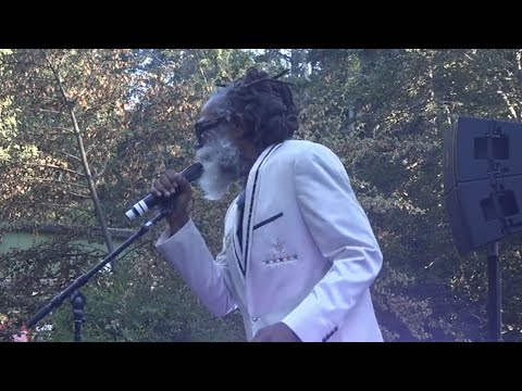 Don Carlos and Dub Vision 'I Just Can't Stop' Right Vibes Festival June 19 2021 Santa Cruz