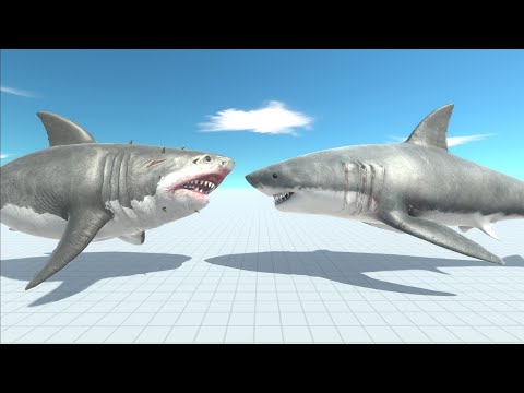 Mutant Megalodon vs Giant Shark🐬🦈- Animal Revolt Battle Simulator