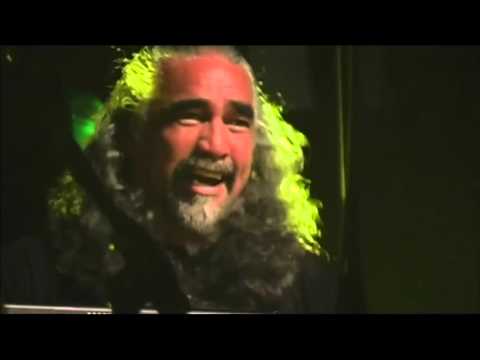 In My Tree   Live at Madison Square Garden   Pearl Jam