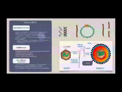 Basiskurs Mikrobiologie: Viren (Aufbau & Struktur)