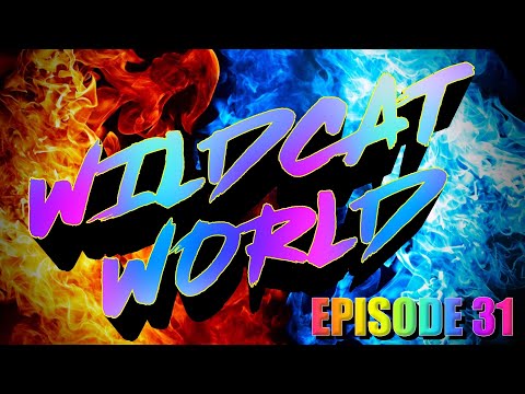 Wildcat World: Episode 31 Harry Potter, Anime and Nintendo Switch Sports