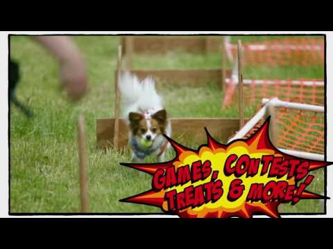 download lagu mp3 mp4 Mounds Dog Fest, download lagu Mounds Dog Fest gratis, unduh video klip Mounds Dog Fest
