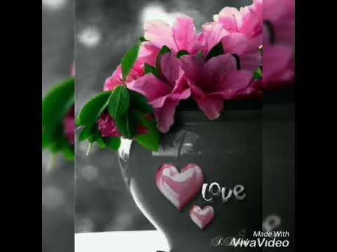 Era mentira...los temerarios