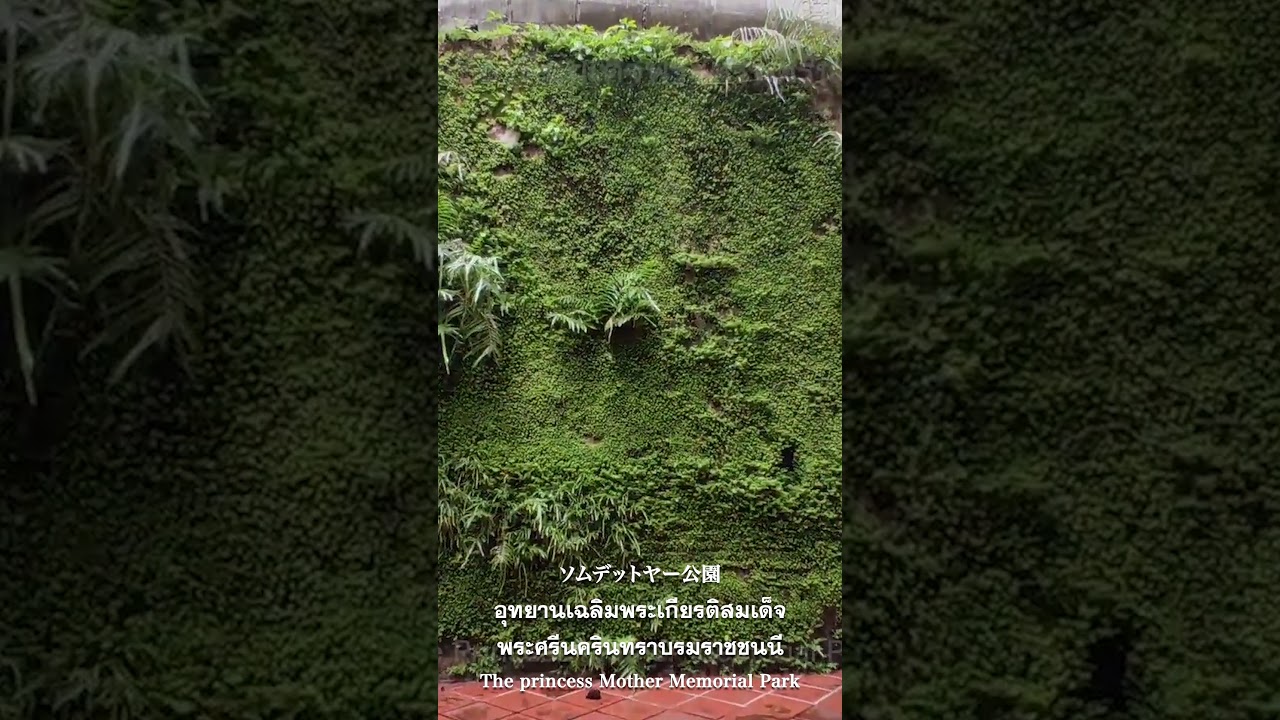 YouTube Short thumbnail