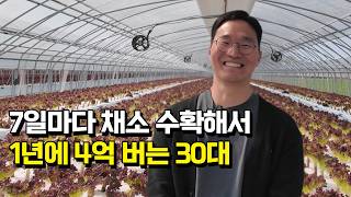 귀농 3년만에 상추로 4억 버는 청년농부의 최고 경락가 노하우