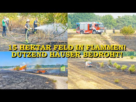 [FLAMMENWAND LÄUFT AUF WOHNHÄUSER ZU] - 15 HEKTAR FELD IN FLAMMEN - | FEUERWEHREN im GROSSEINSATZ