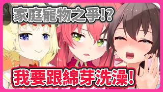 MIKO跟綿芽誰適合當成寵物來養? 夏哥毫無掩飾的慾望w【角卷綿芽/櫻巫女/夏色祭】【hololive中文】【Vtuber精華】