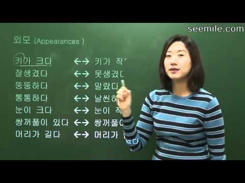 [Learn Korean Language] 18. Appearance and Clothes expression 외모 Video