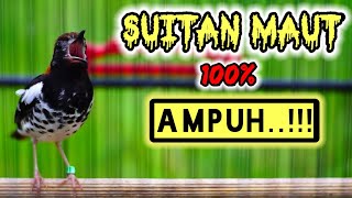 Download lagu Suitan anis kembang birahi AMPUH memancing EMOSI langsung ROCK and ROLL mp3