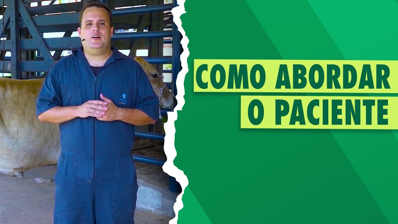 Semiologia de bovinos