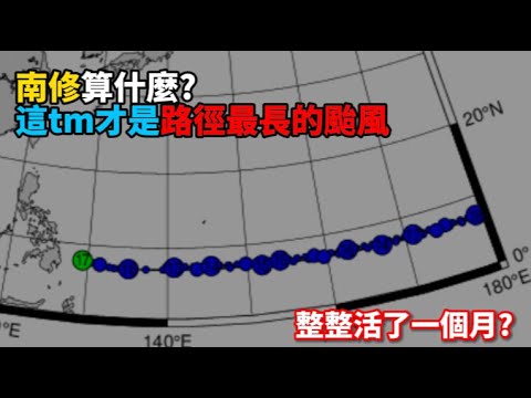 長壽颱是什麼
