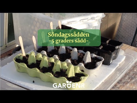 Söndagssådden - 5-graders sådd - Trädgårdshacks med GardenR