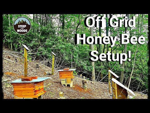 Poor Man's Honey Bee Setup