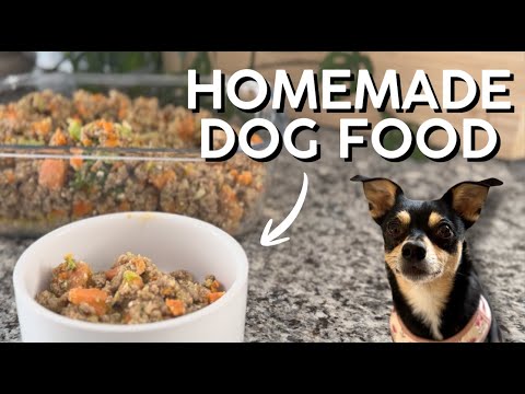 VET APPROVED Homemade Dog Food Recipe (Affordable + Easy!)