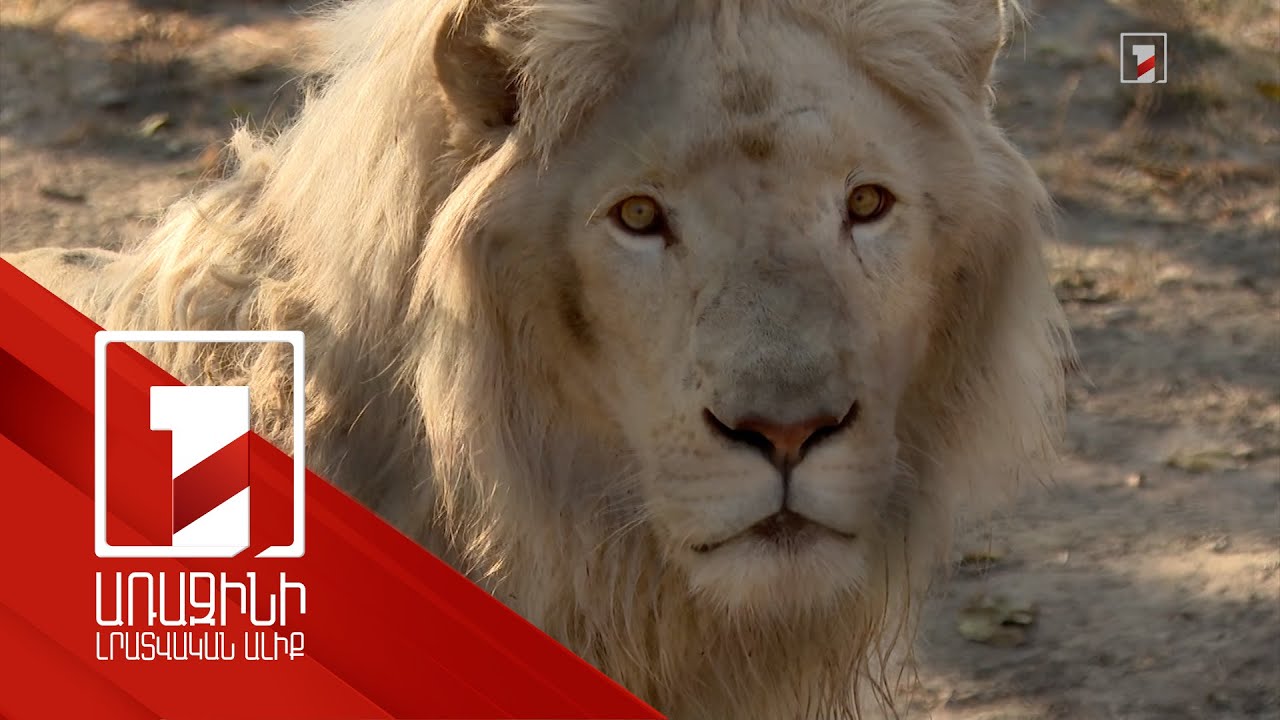 Կենդանաբանական այգին բարեկարգվում է, նաև ունի նոր բնակիչներ