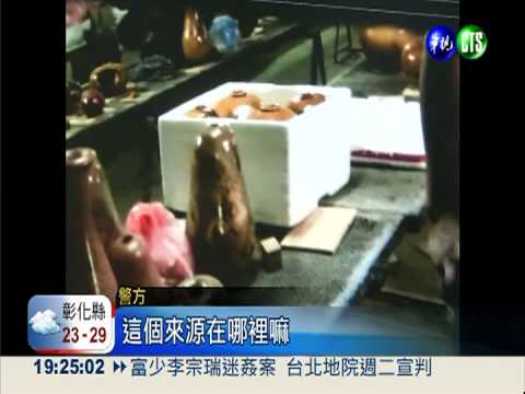 破獲"老樹墳場" 害死2千年檜木