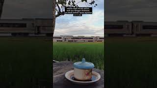 Download lagu story WA cidro 3 mp3