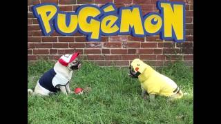 Pokémon - Doug The Pug