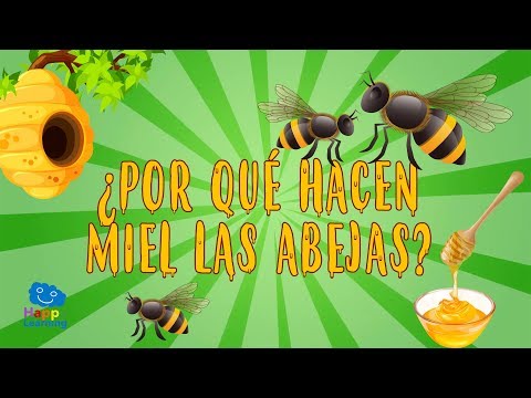 , title : '¿POR QUÉ HACEN MIEL LAS ABEJAS?  | CURIOSIDADES FASCINANTES PARA NIÑOS'