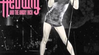 Hedwig Original Broadway Cast - Midnight Radio