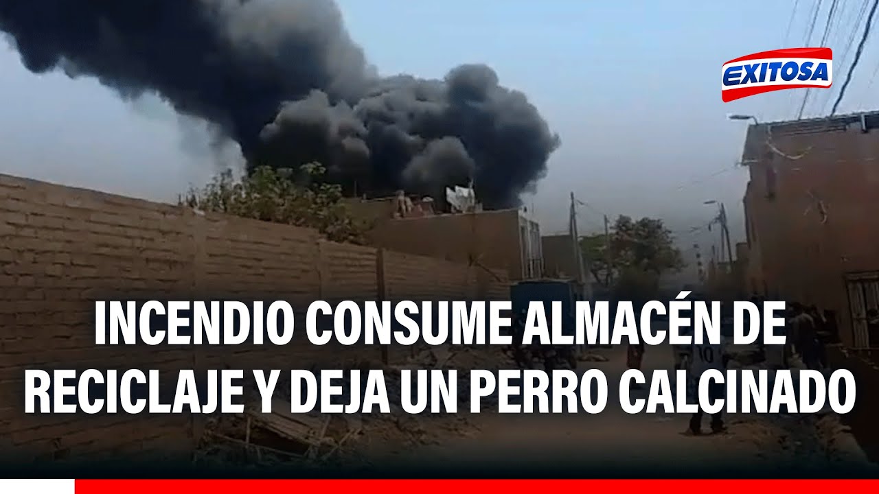 🔴🔵 Incendio consume almacén de reciclaje y deja un perro calcinado