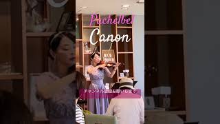 Download lagu パッヘルベル「カノン」バイオリンチェロ二重奏 #カノン mp3 Download lagu パッヘルベル「カノン」バイオリンチェロ二重奏 #カノン mp3
