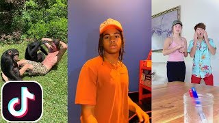 Valentino | TikTok Compilation