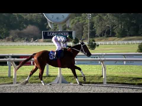 220612 c06 BARWOMAN (ARG)