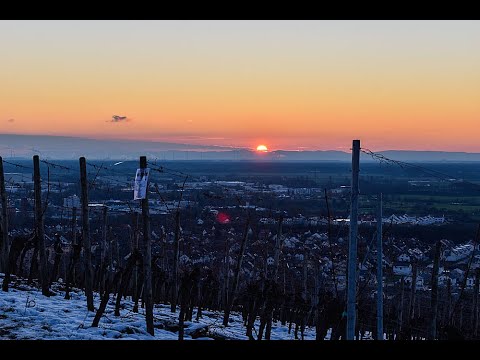 Heppenheim - Winter in den Weinbergen
