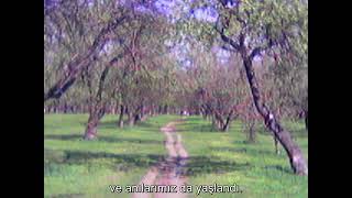 Madrugada - Only When You're Gone ( Türkçe Çeviri)