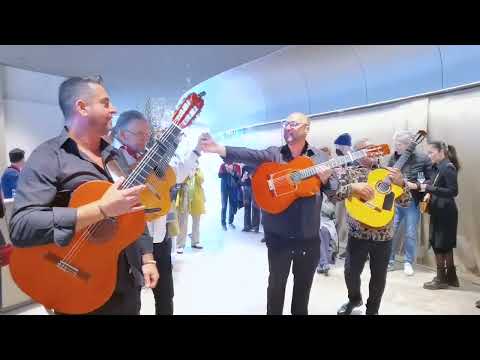 The Allstars of Gipsy - Marina