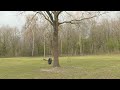 Flevolandse campings blijven leeg door Covid-19