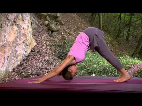 Yogaist.de – Surya Namaskar – The Sun Salutation with Affirmations – DVD Yoga for Timeless People