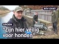 Mark wil de otter in de binnenstad en bouwt speciaal otterhuisje | RTV Oost