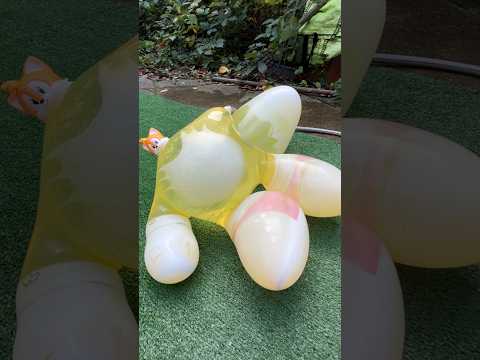 Tails FLOODED my garden.. (Satisfying Pop)💥 #shorts