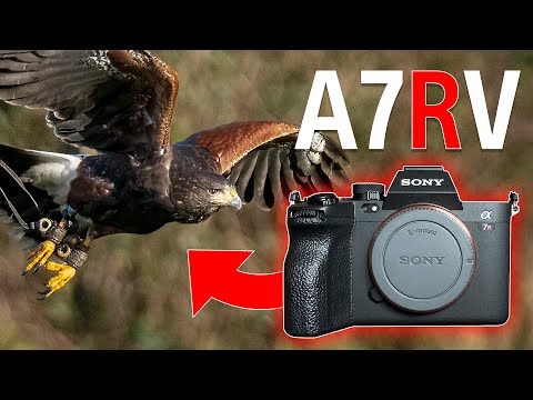Sony A7RV - I WAS WRONG !!! 😳 + RECOMMENDED SETTINGS for BIRD PHOTOGRAPHY 🦅