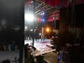 Disa Video