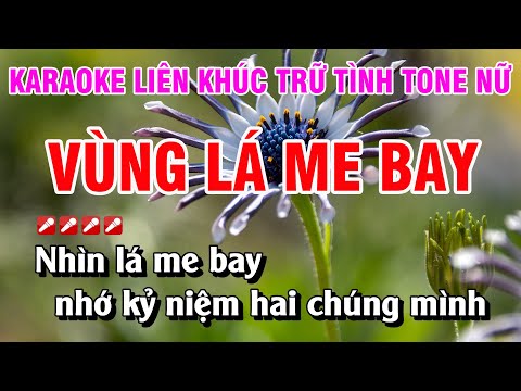 Karaoke Liên Khúc Trữ Tình Tone Nữ Nhạc Sống Dễ Hát - Vùng Lá Me Bay | Nguyễn Linh