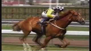 1999 VRC Melb Cup Day _ Bart Cummings Profile