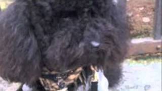 sun and sand Roberto Ciotti