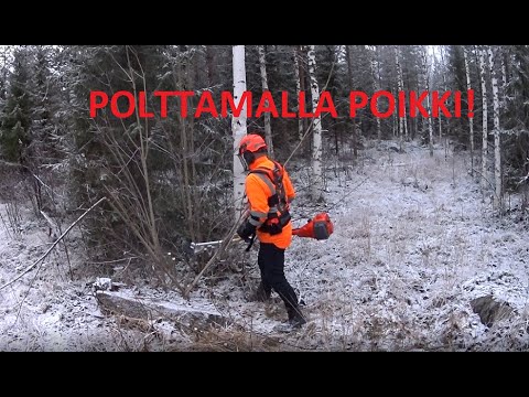 Metsolan Metsäkoulu 233 - RAIVAAJAN TOP 6 VIRHETTÄ