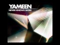 Yameen, Georgia Anne Muldrow & Casual - Fire (Direct Drive Remix)