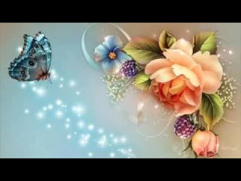 Jacob Prasch Israel And Islam In History And Prophecy Andrew - R