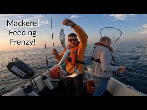 Amazing Mackerel Fishing Expedition! - Boat Fishing For Mackerel, Pollock and Bass!
