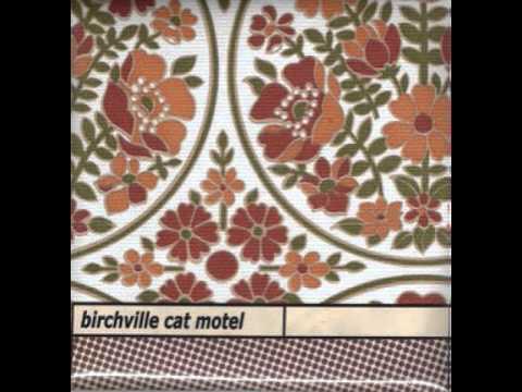 Birchville Cat Motel - Damn Infinity Hairtie II